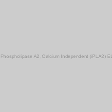 Image of Mouse Phospholipase A2, Calcium Independent (iPLA2) ELISA Kit